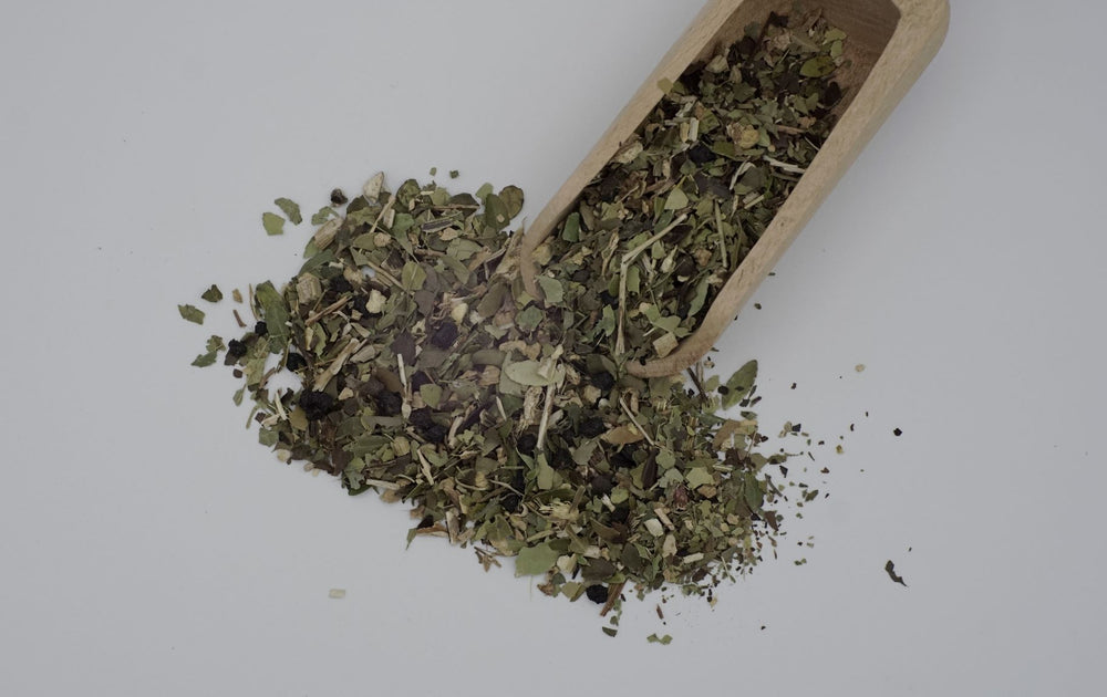 Yaupon Tea Immunity Wellness Blend with echinacea, ginger and elderberries
